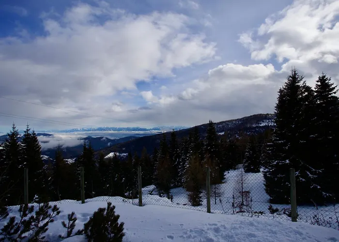 Apartament Almhaus Karantanien *